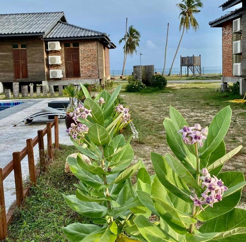 Sekepeng Penarek 佩纳利克村 外观 照片